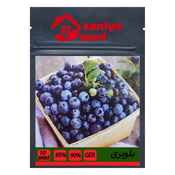 معسل بلوبري مزايا - آباج مارکت